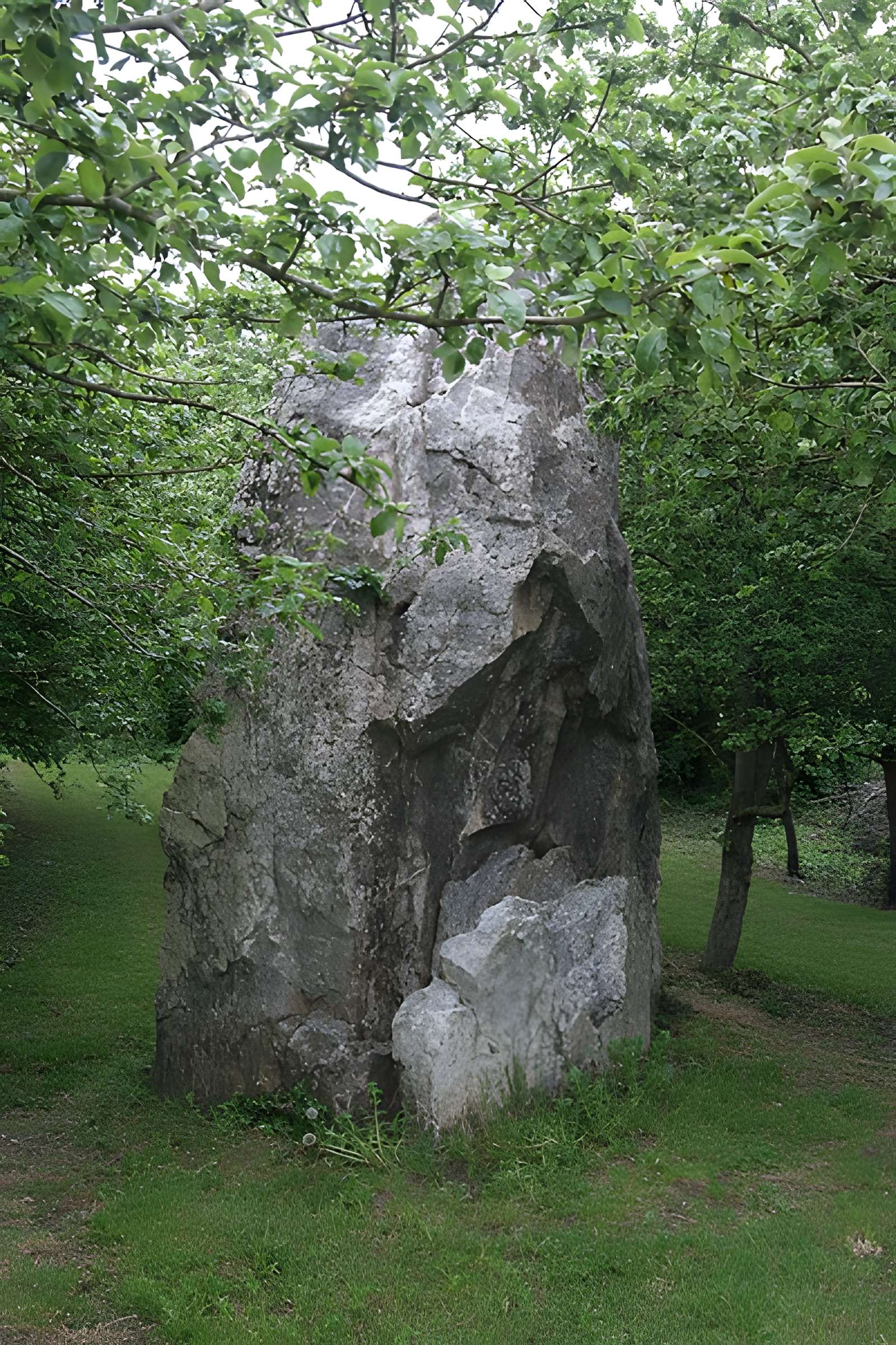 Menhir dit "Dent de Gargantua" de Saint-Suliac