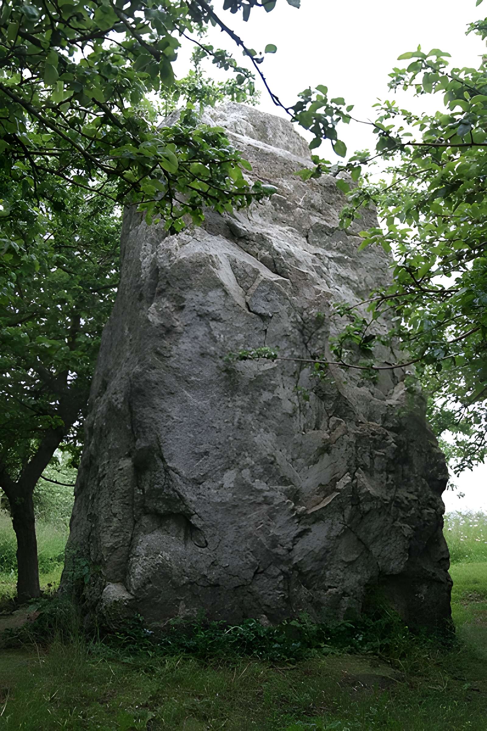 Menhir dit "Dent de Gargantua" de Saint-Suliac