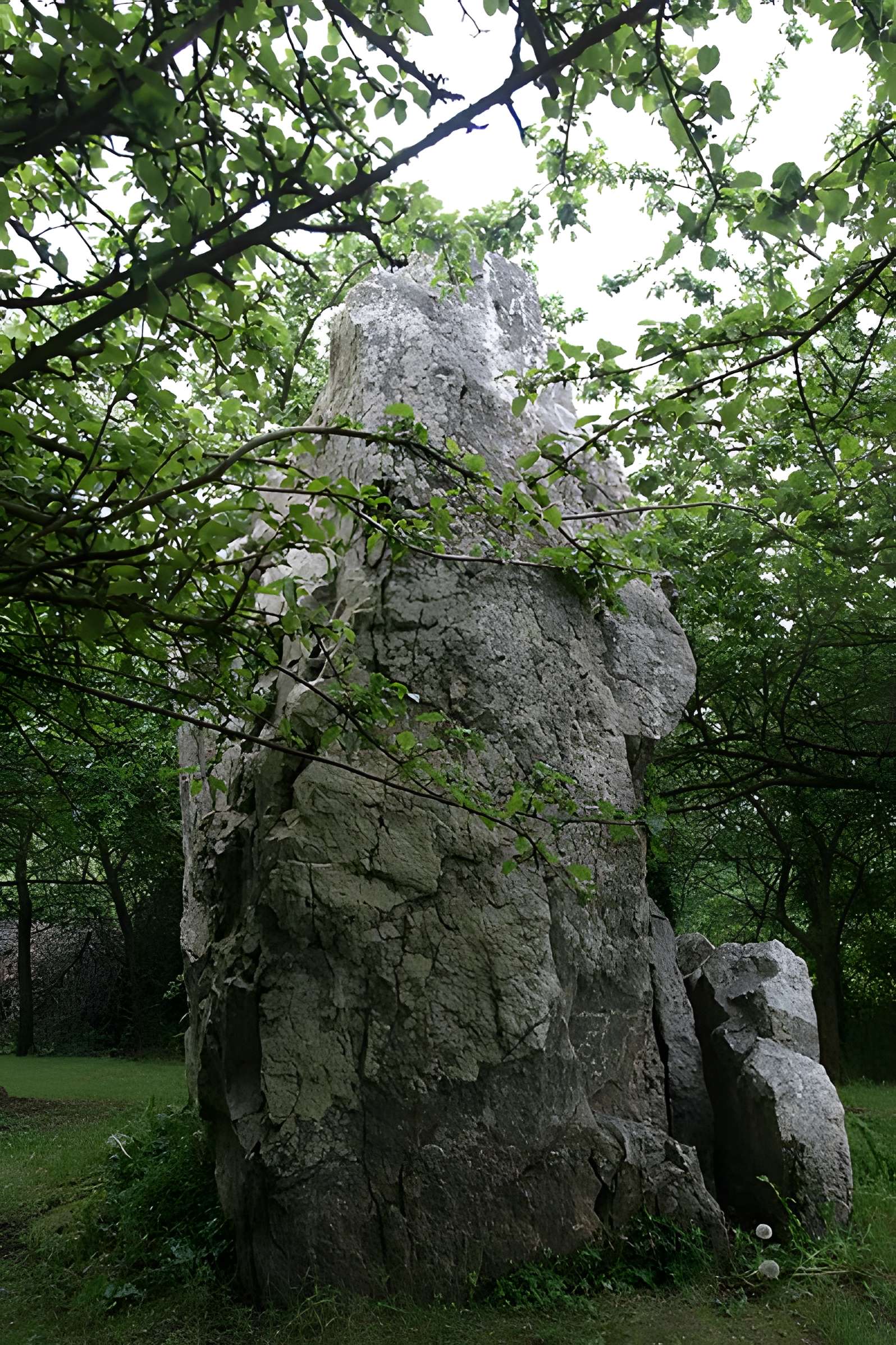 Menhir dit "Dent de Gargantua" de Saint-Suliac