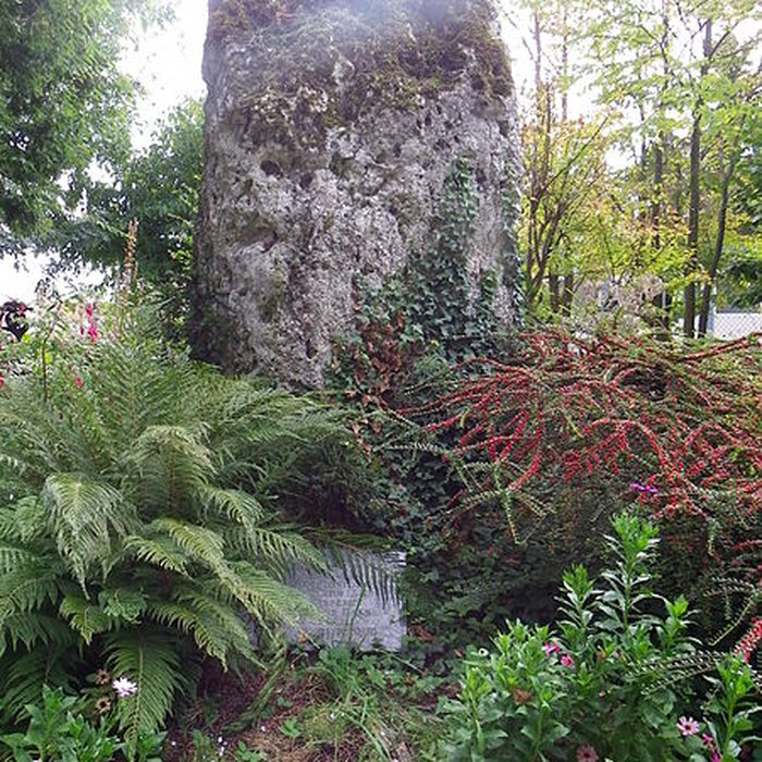 Photo de Menhir dit La Pierreffite de Villeneuve-le-Roi