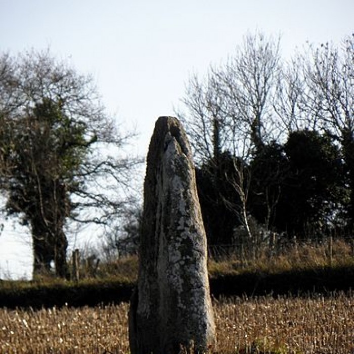 Photo de Menhir dit La Roche Longue de Saint-Marcan