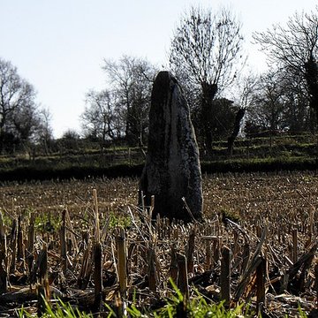 Menhir dit La Roche Longue de Saint-Marcan