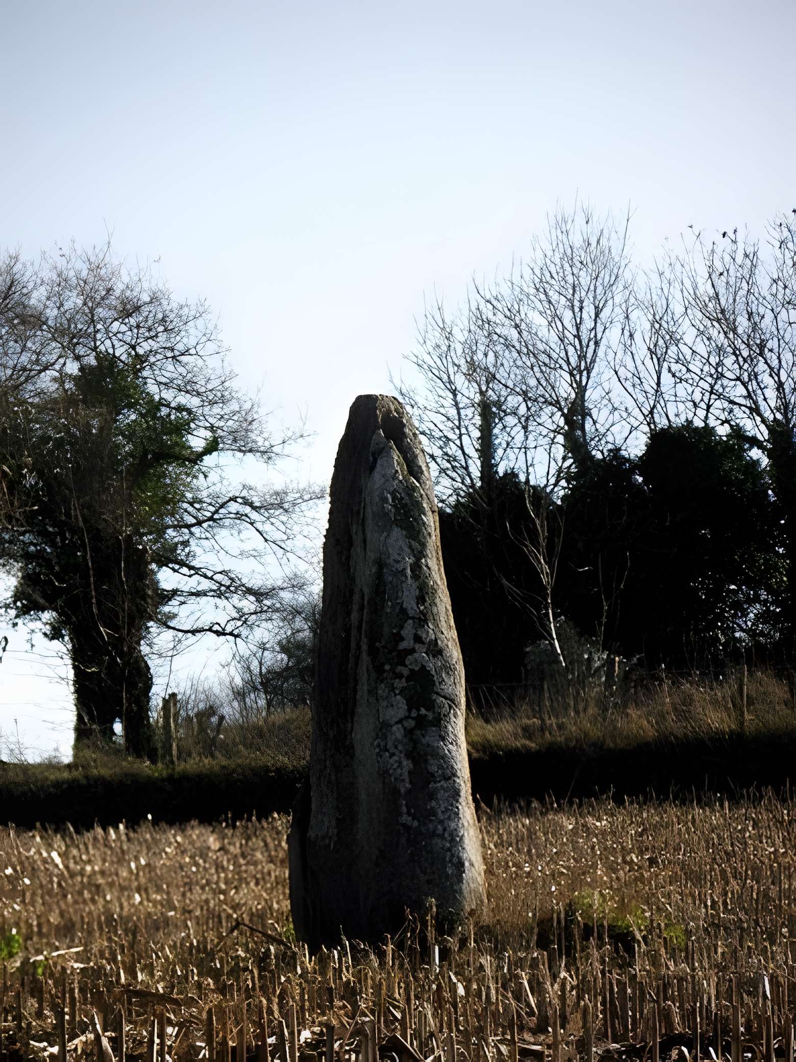Menhir dit La Roche Longue de Saint-Marcan 