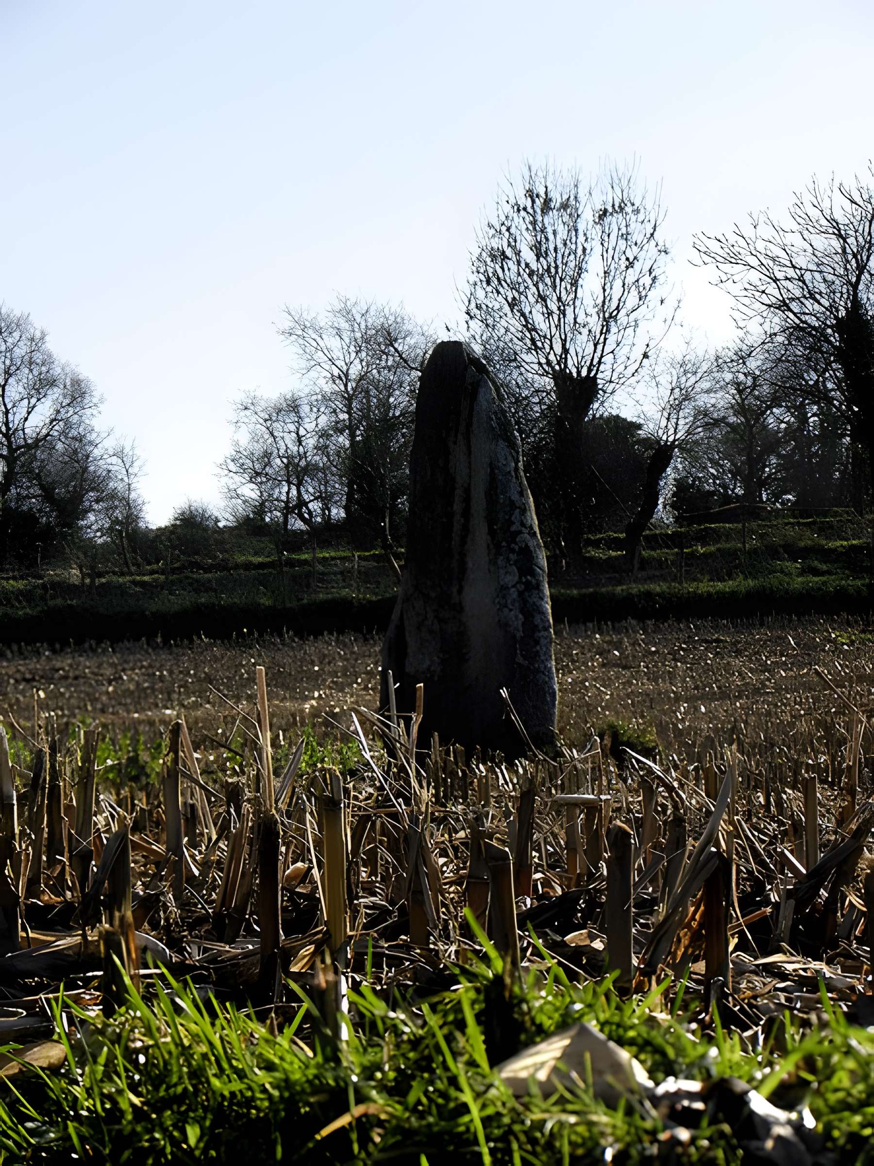 Menhir dit La Roche Longue de Saint-Marcan