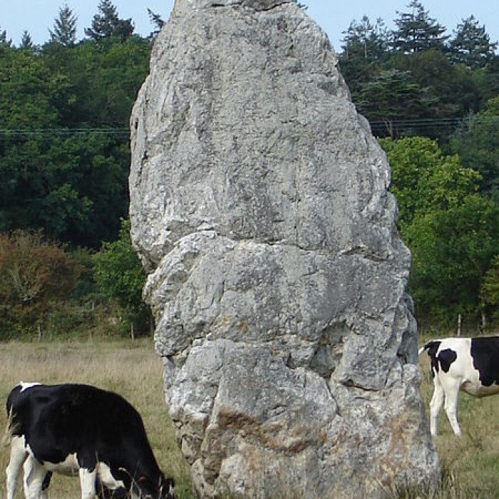 Photo de Menhir dit Le Fuseau de la Madeleine de Pontchâteau