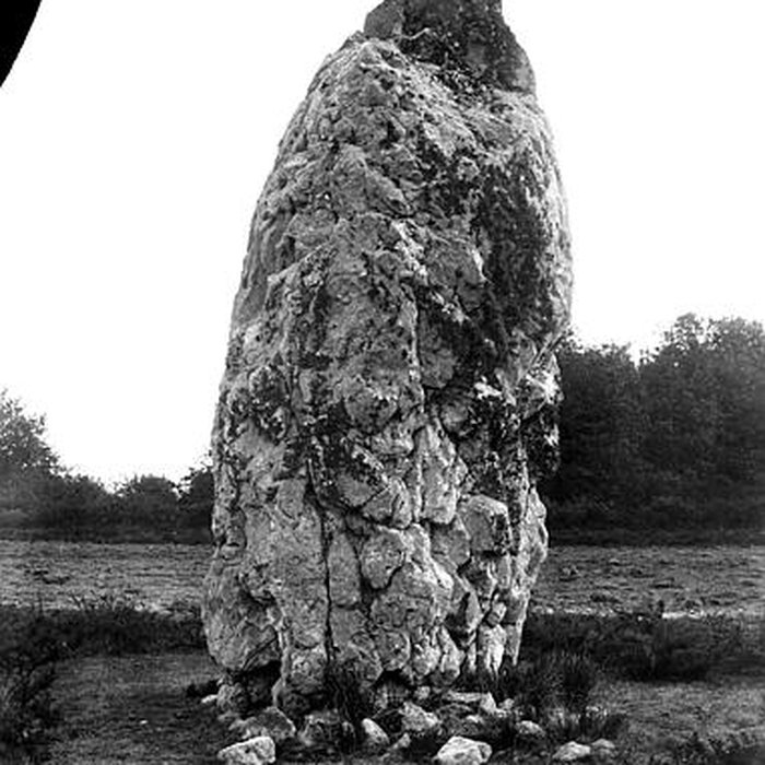Photo de Menhir dit Le Fuseau de la Madeleine de Pontchâteau