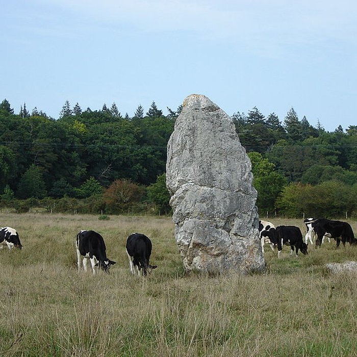 Photo de Menhir dit Le Fuseau de la Madeleine de Pontchâteau