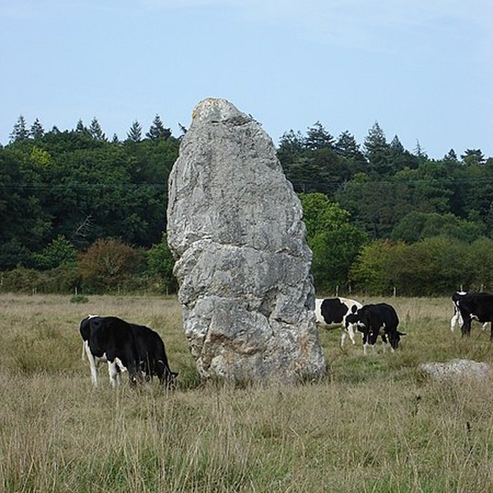 Photo de Menhir dit Le Fuseau de la Madeleine de Pontchâteau