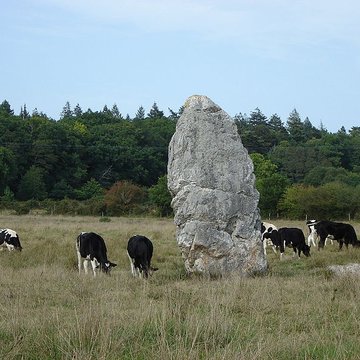 Menhir dit Le Fuseau de la Madeleine de Pontchâteau