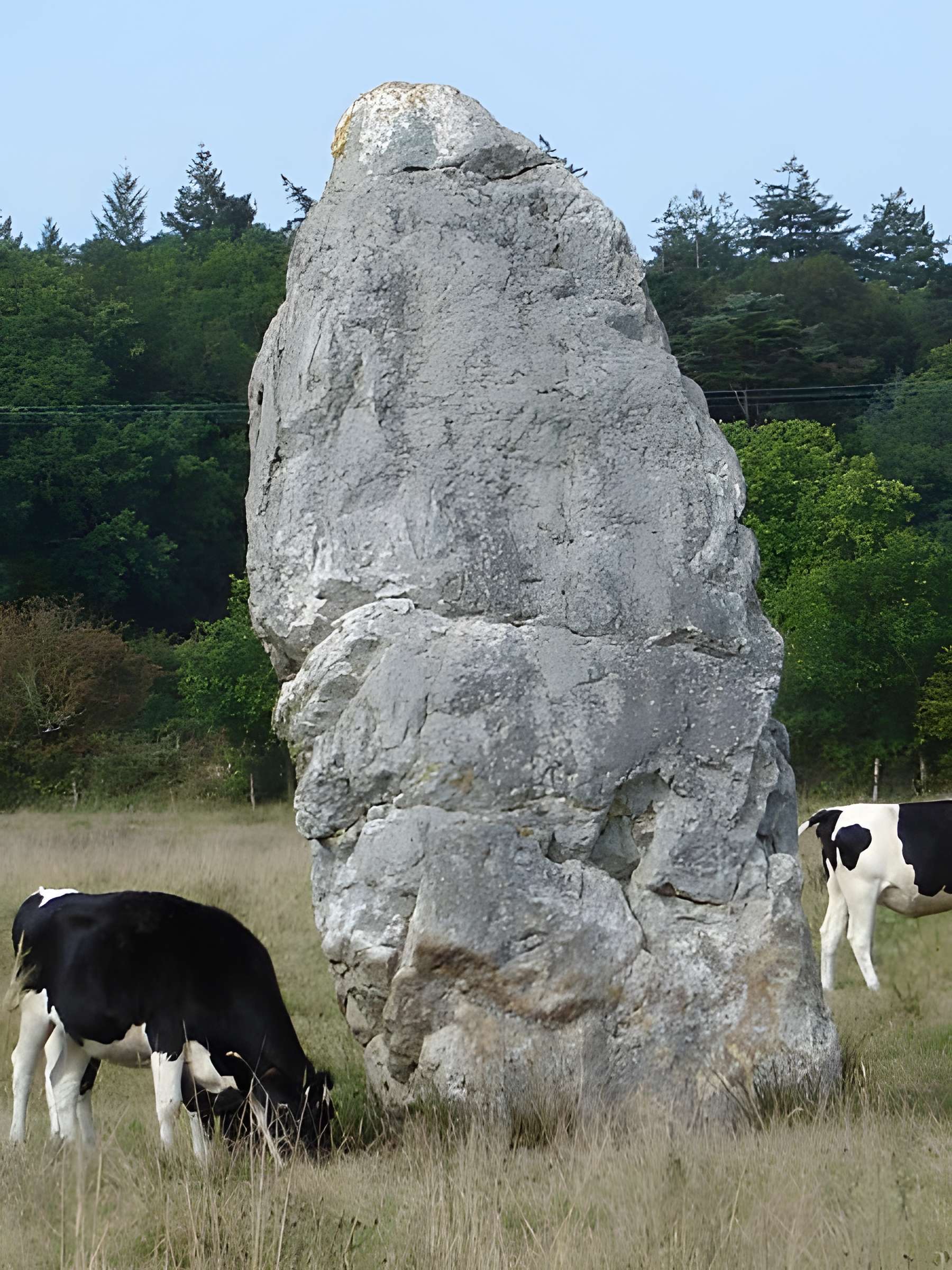 Menhir dit Le Fuseau de la Madeleine de Pontchâteau 