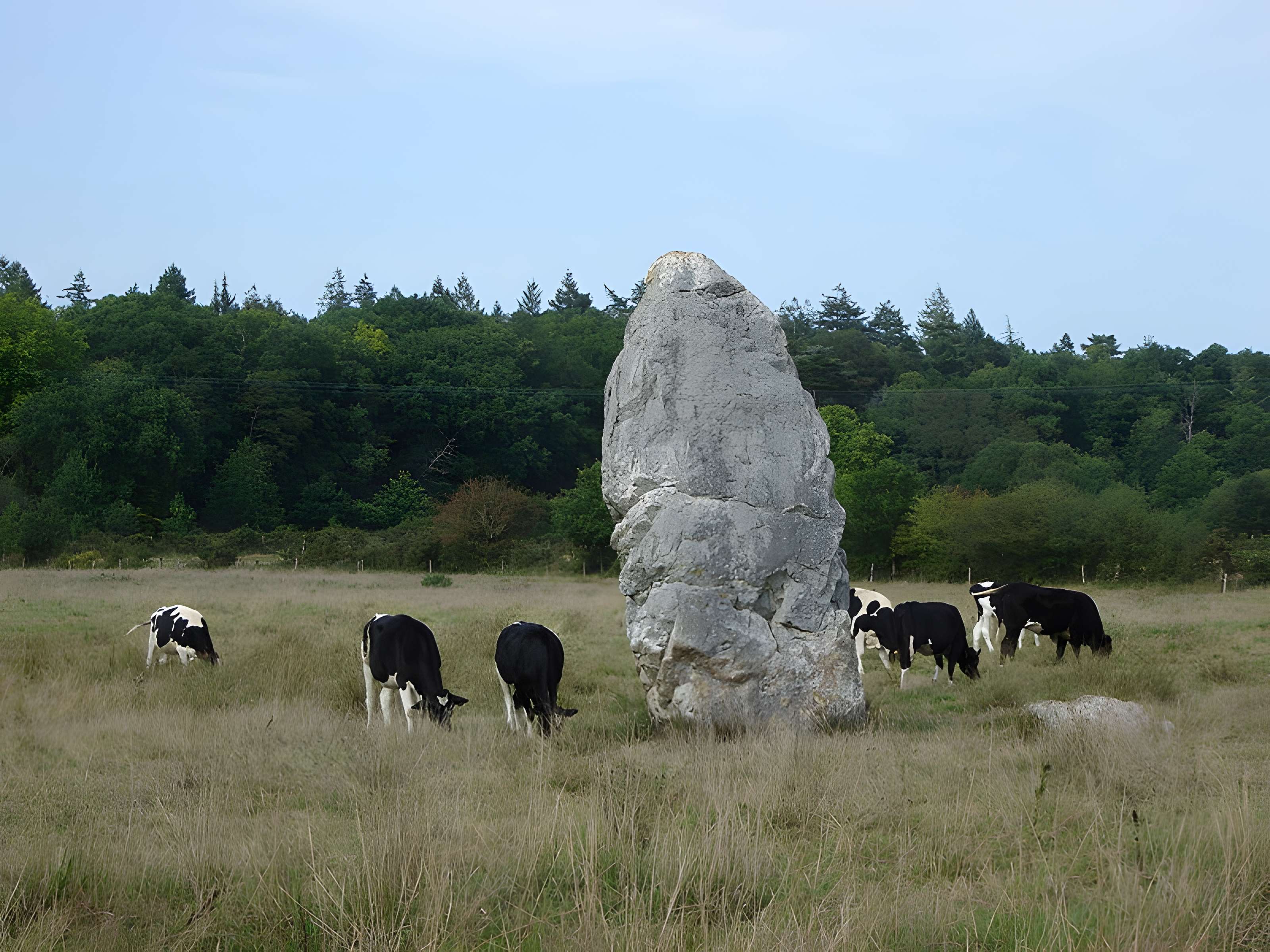 Menhir dit Le Fuseau de la Madeleine de Pontchâteau