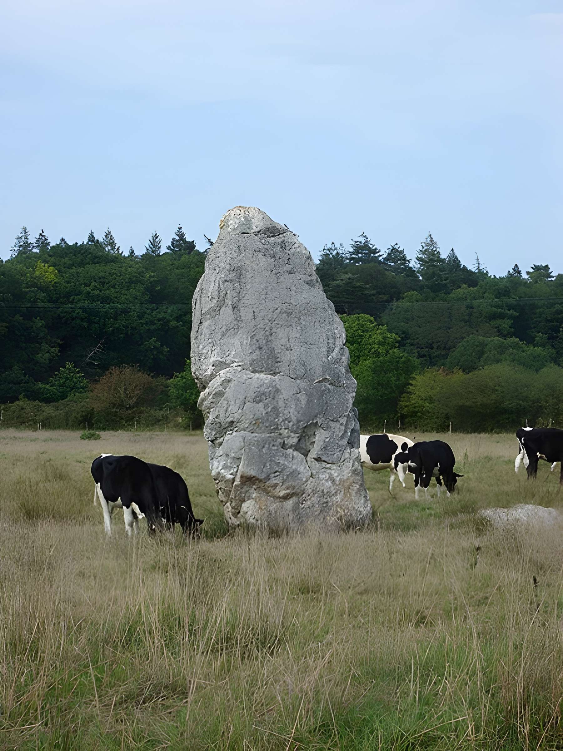 Menhir dit Le Fuseau de la Madeleine de Pontchâteau