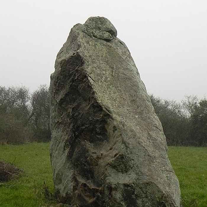 Photo de Menhir du Boivre de Saint-Brevin-les-Pins