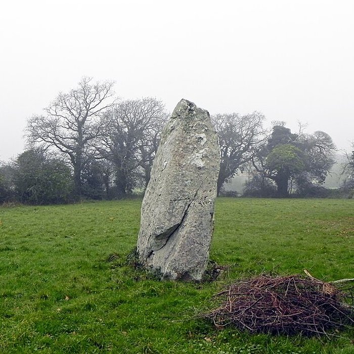 Photo de Menhir du Boivre de Saint-Brevin-les-Pins
