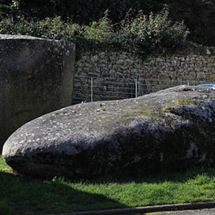Photo de Menhir du Bronso de Locmariaquer
