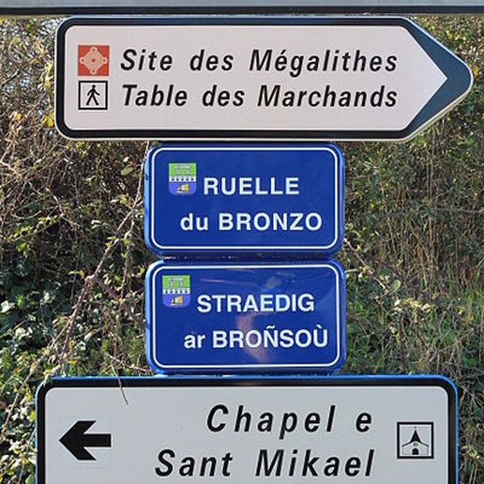 Photo de Menhir du Bronso de Locmariaquer