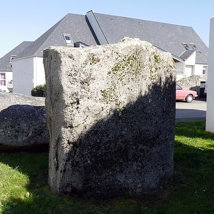 Photo de Menhir du Bronso de Locmariaquer