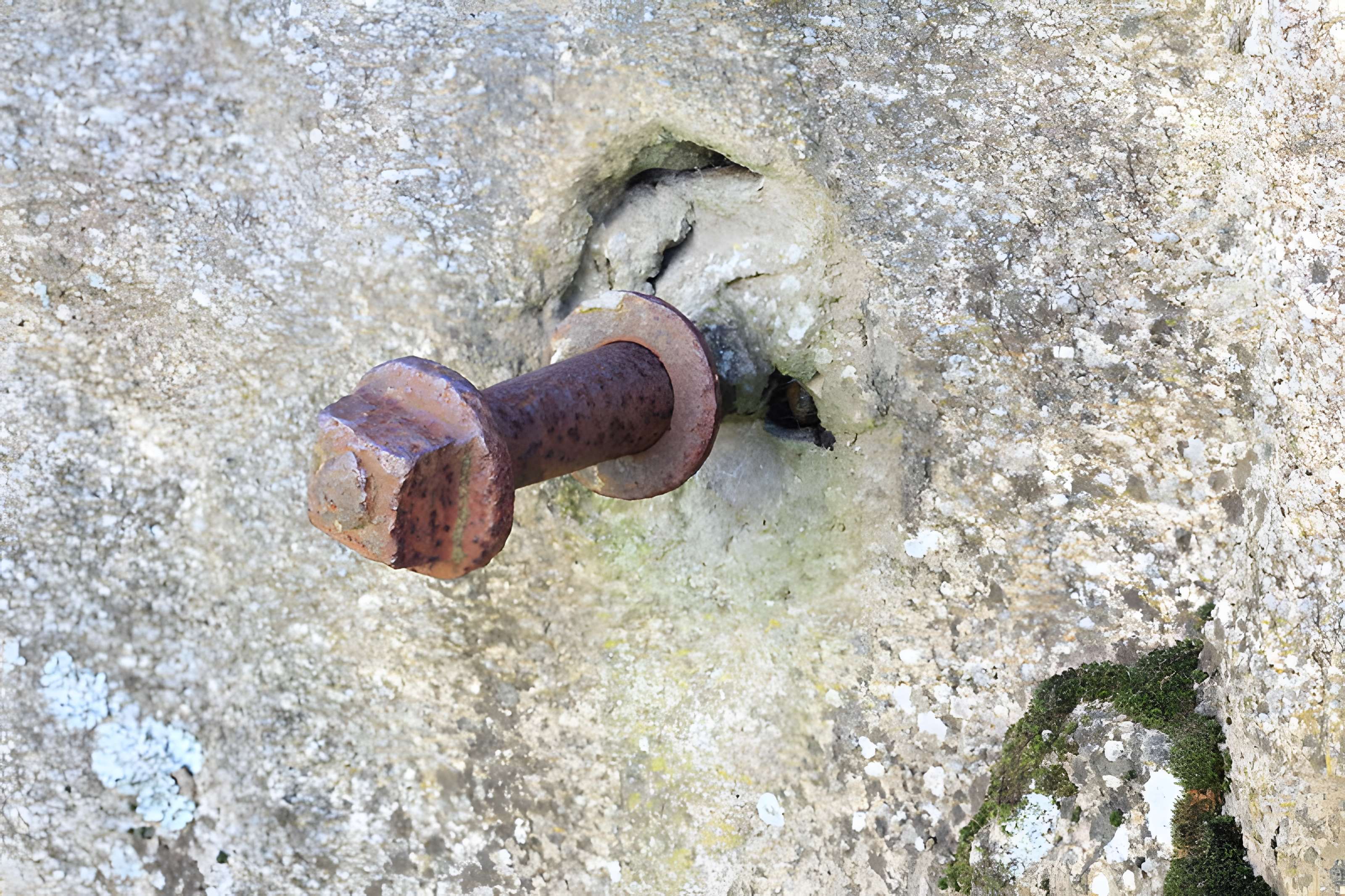 Menhir du Bronso de Locmariaquer