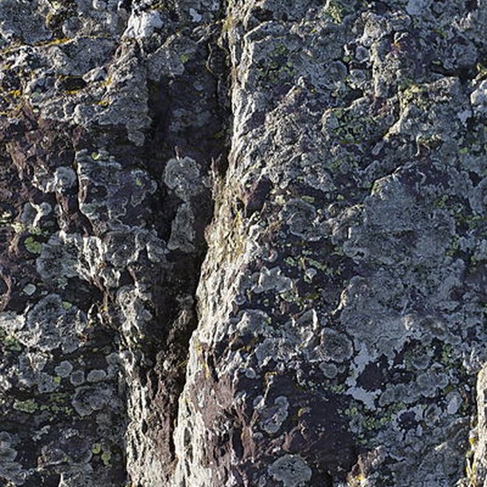 Photo de Menhir du Champ de la Pierre et menhir du Champ Horel