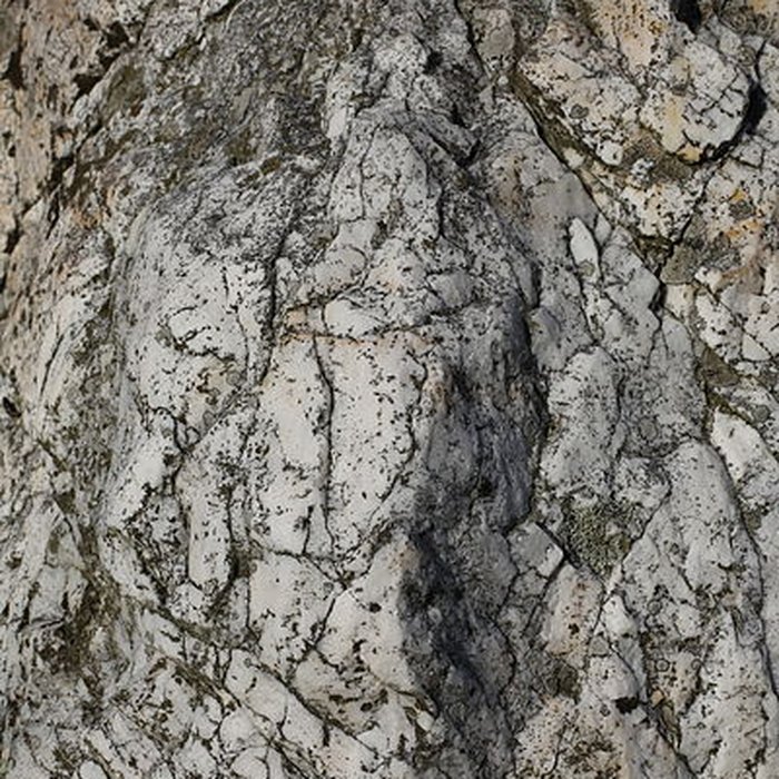 Photo de Menhir du Champ de la Pierre et menhir du Champ Horel
