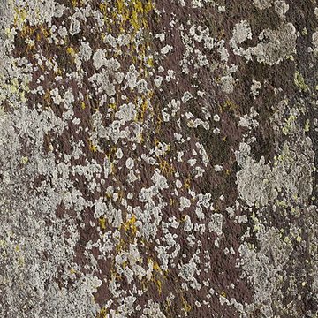 Menhir du Champ de la Pierre et menhir du Champ Horel