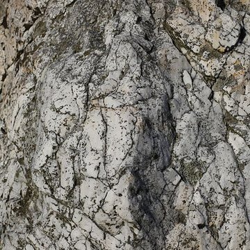 Menhir du Champ de la Pierre et menhir du Champ Horel