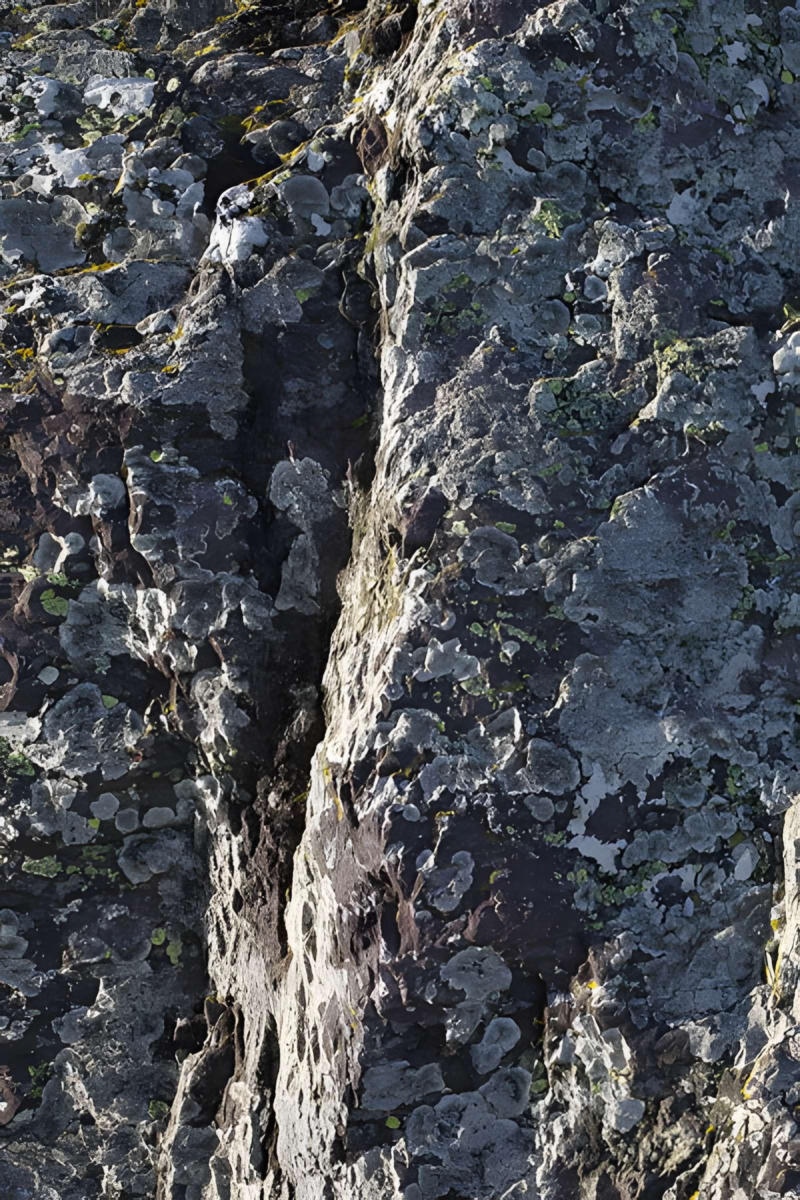Menhir du Champ de la Pierre et menhir du Champ Horel