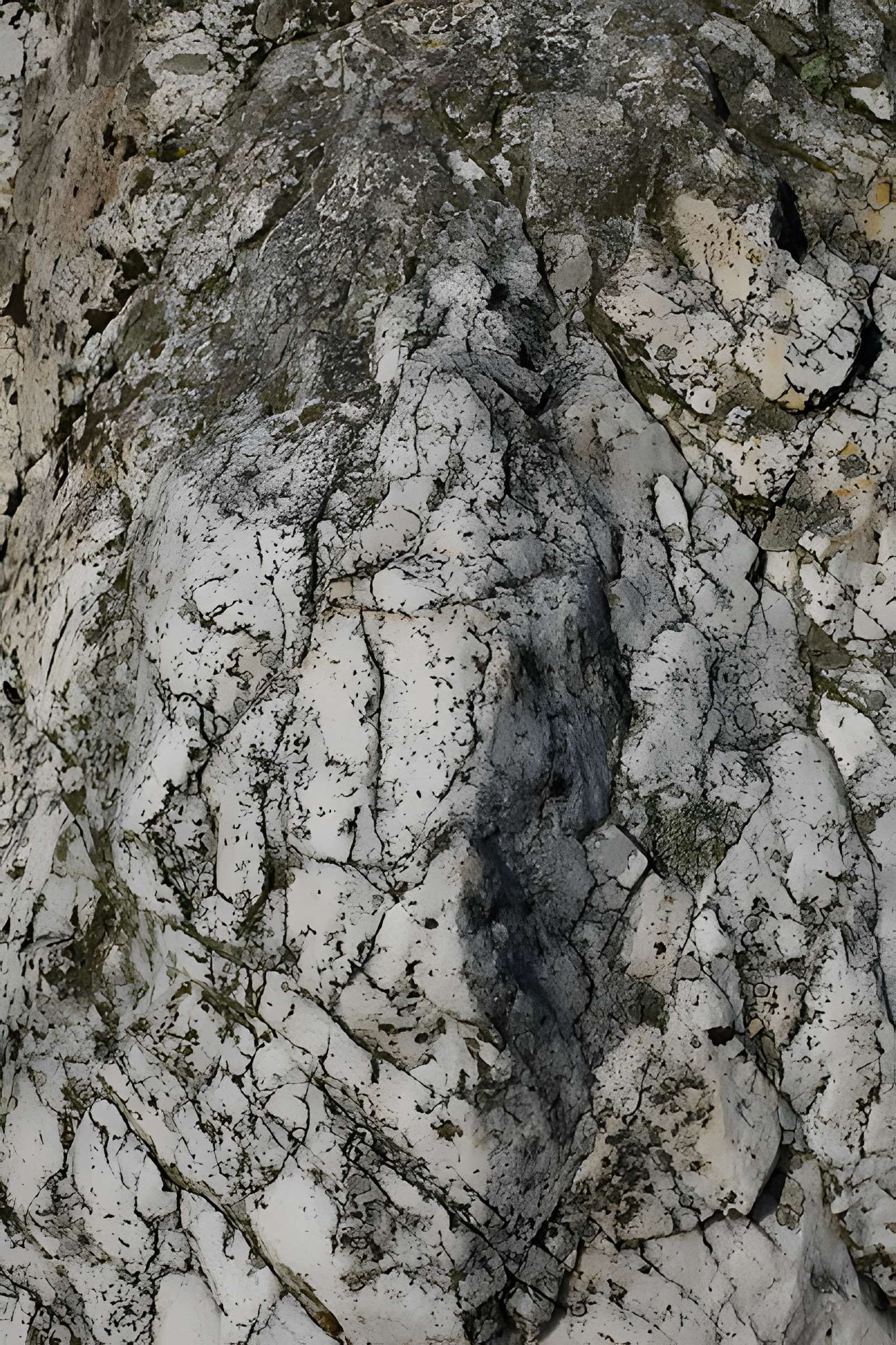 Menhir du Champ de la Pierre et menhir du Champ Horel