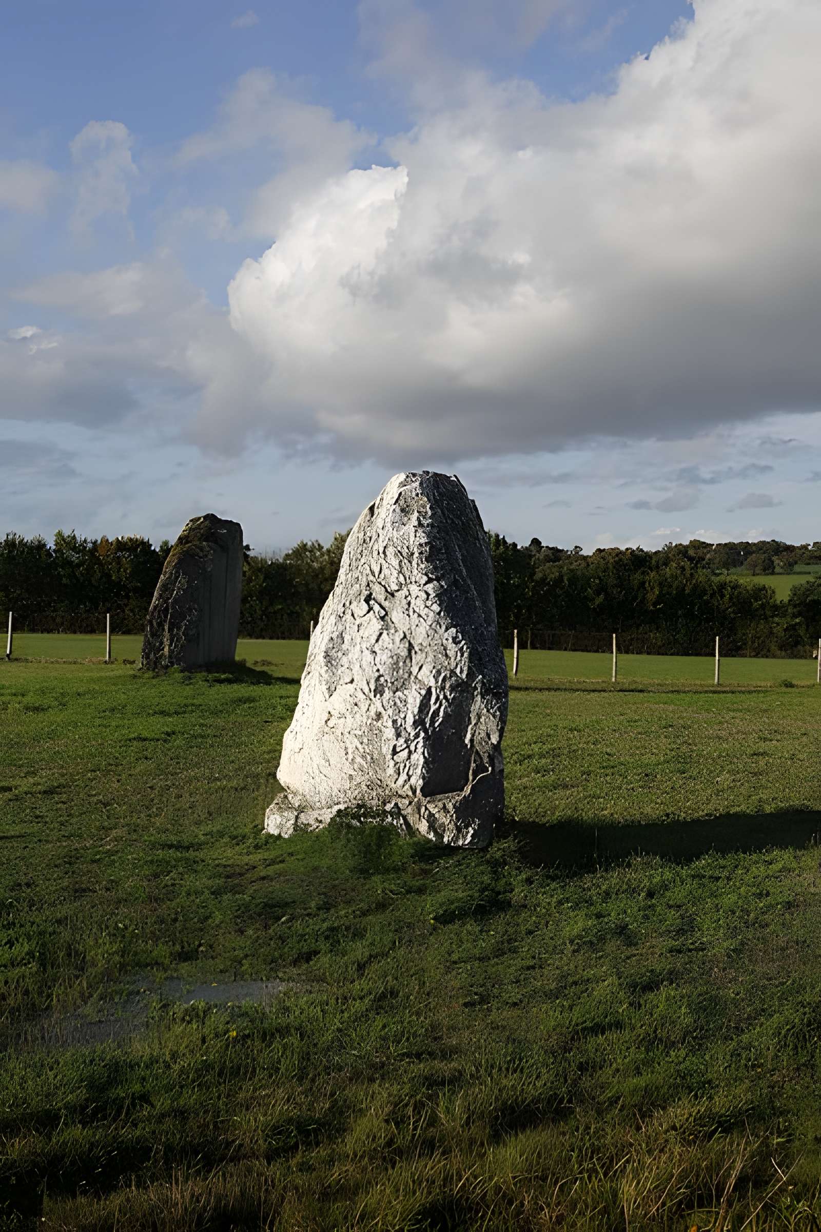 Menhir du Champ de la Pierre et menhir du Champ Horel