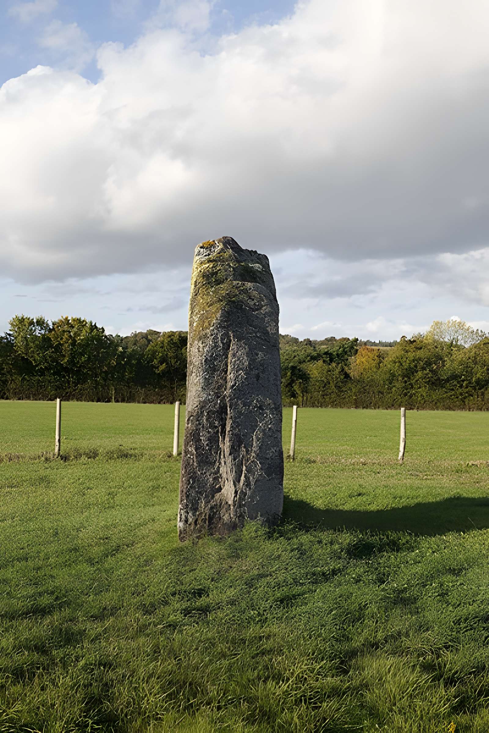 Menhir du Champ de la Pierre et menhir du Champ Horel