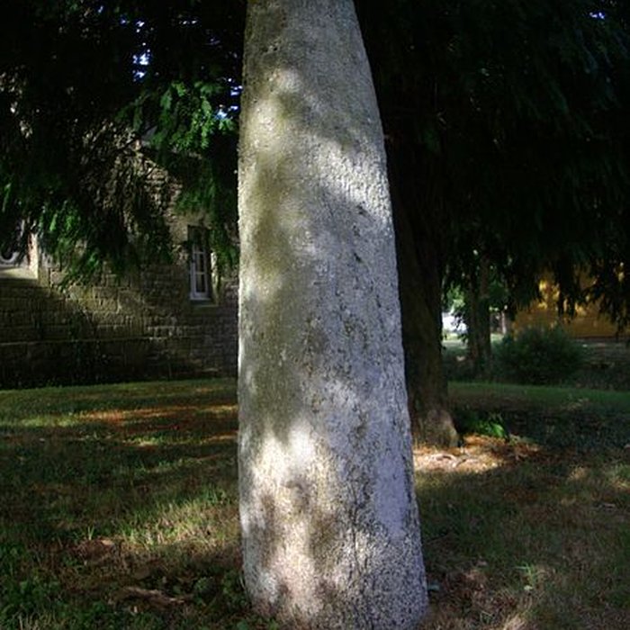Photo de Menhir du Moustoir de Saint-Jean-Brévelay