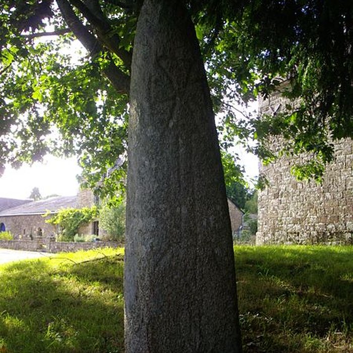 Photo de Menhir du Moustoir de Saint-Jean-Brévelay