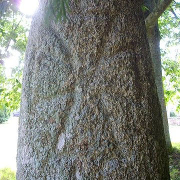 Menhir du Moustoir de Saint-Jean-Brévelay