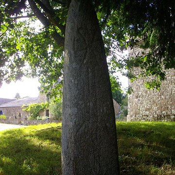 Menhir du Moustoir de Saint-Jean-Brévelay