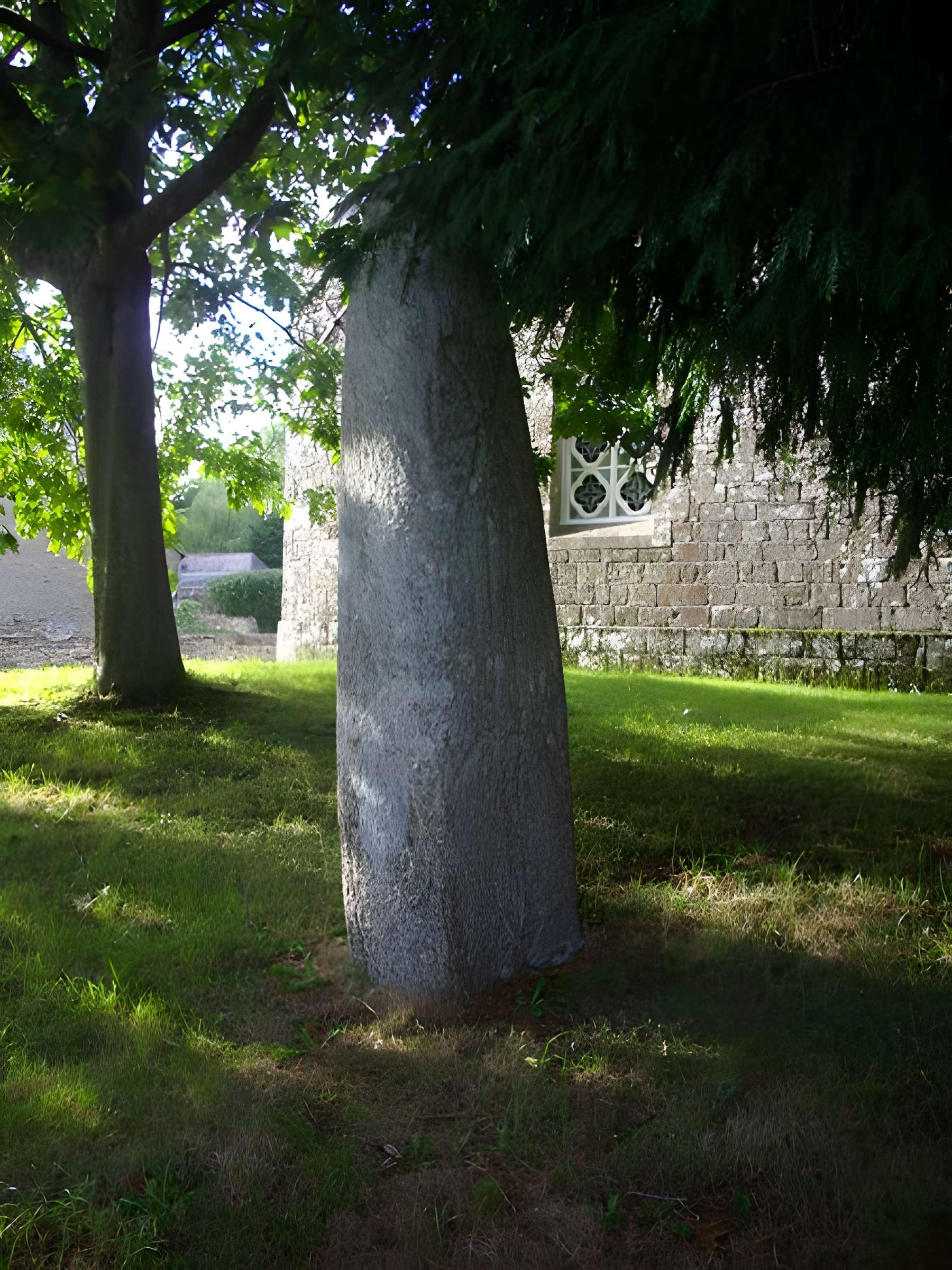 Menhir du Moustoir de Saint-Jean-Brévelay