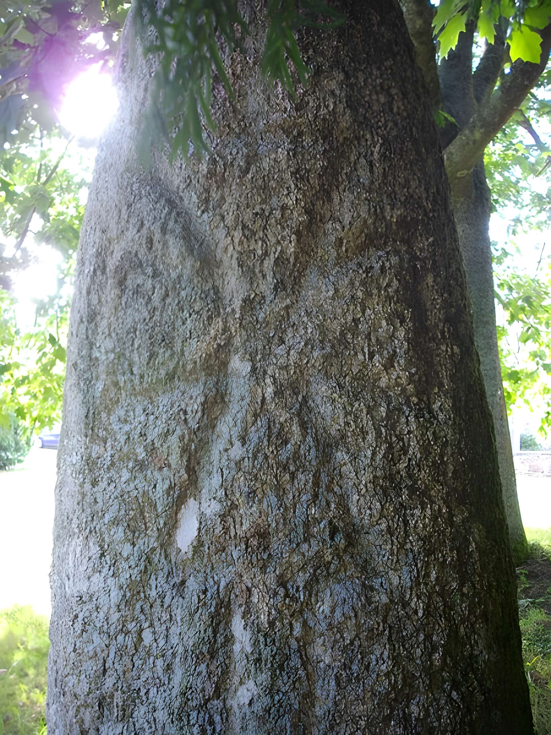 Menhir du Moustoir de Saint-Jean-Brévelay