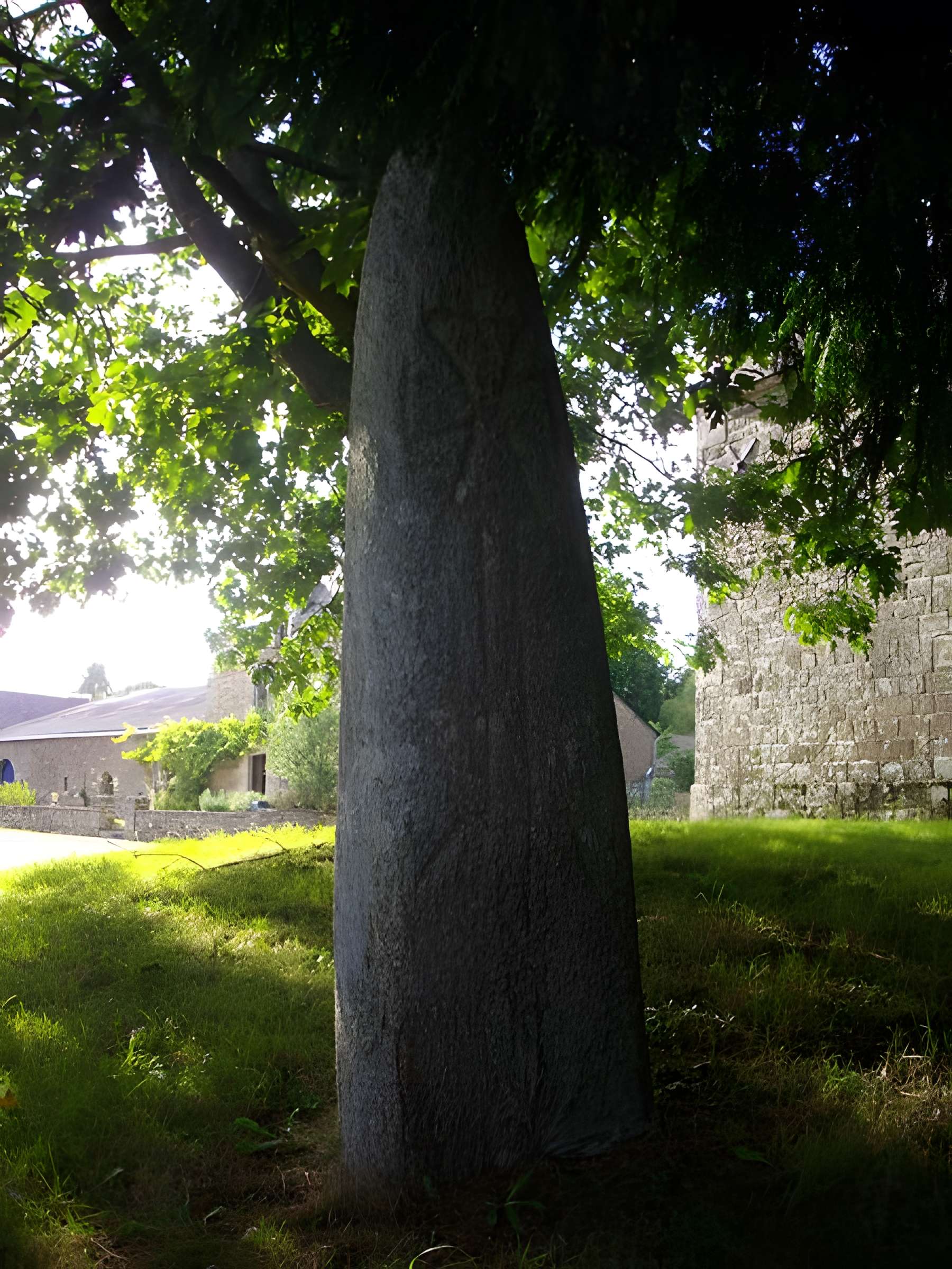 Menhir du Moustoir de Saint-Jean-Brévelay