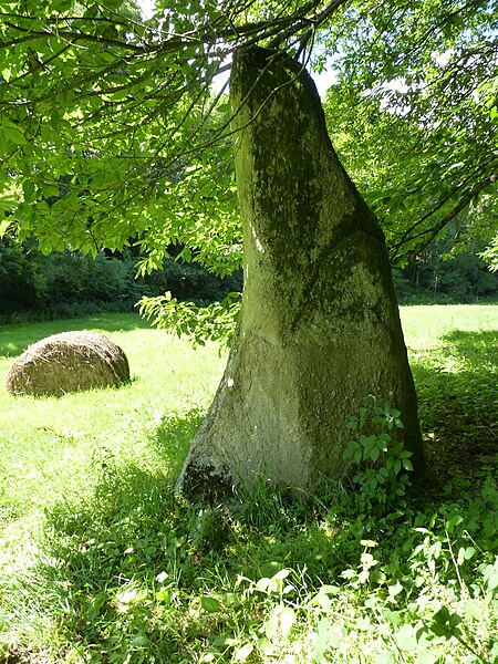 Photo de Menhir du Pré de Camet de Plouvara