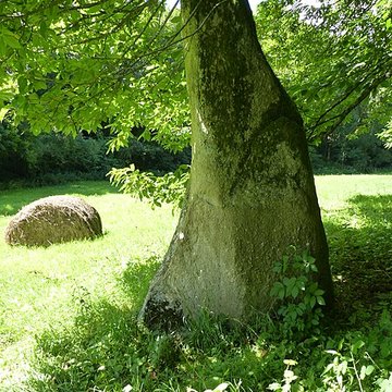 menhir du pre de camet de plouvara