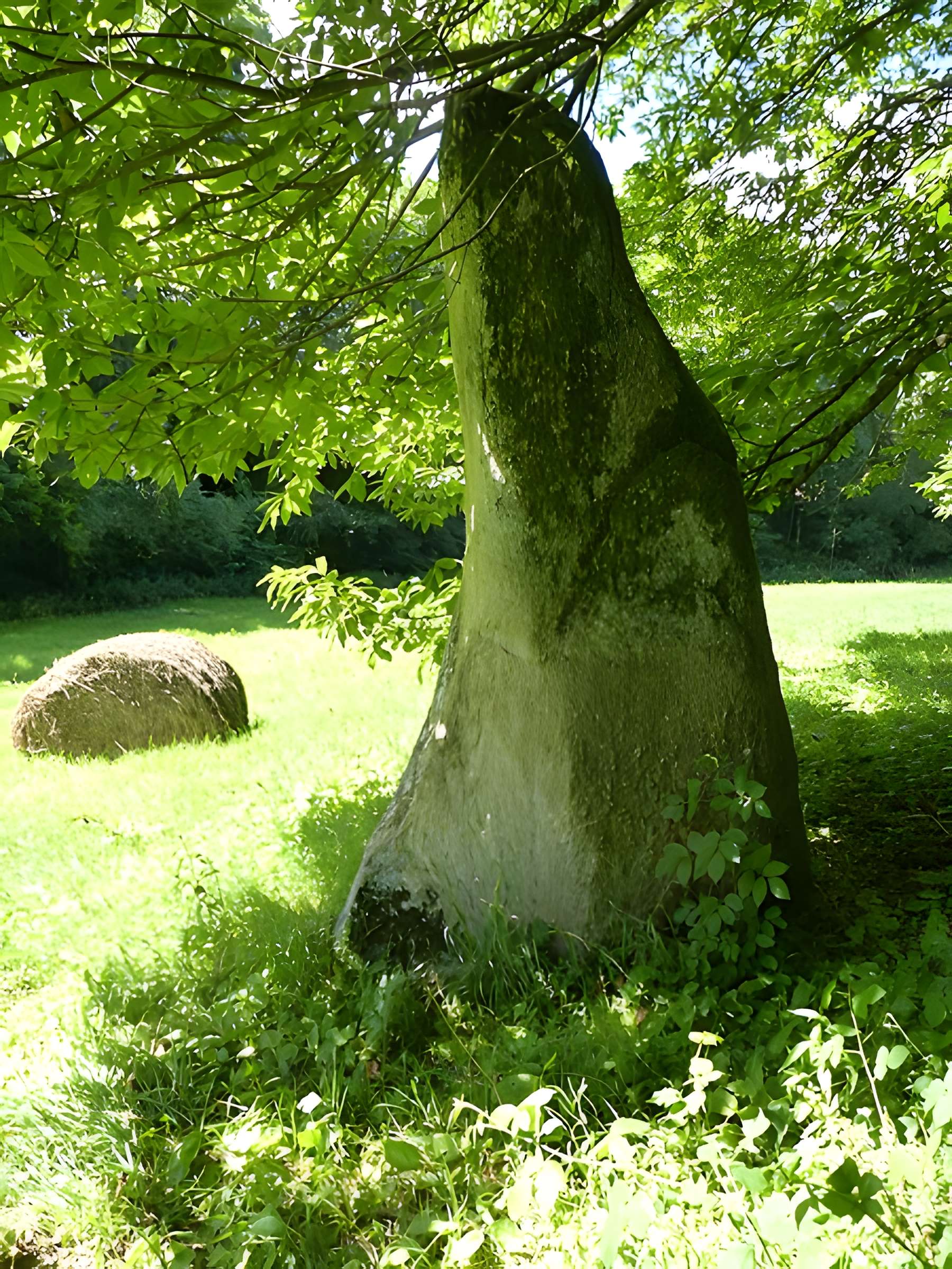 Menhir du Pré de Camet de Plouvara