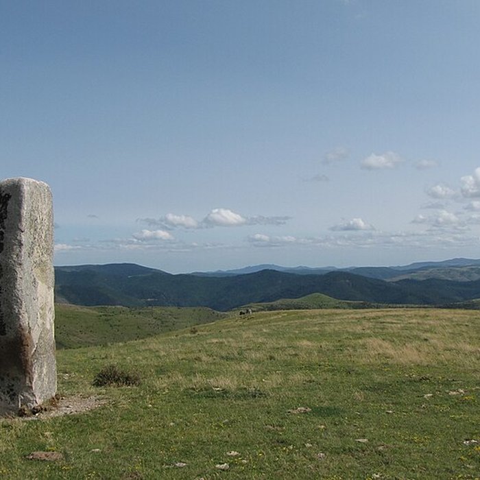 Photo de Menhir isolé de Colobrières aux Bondons