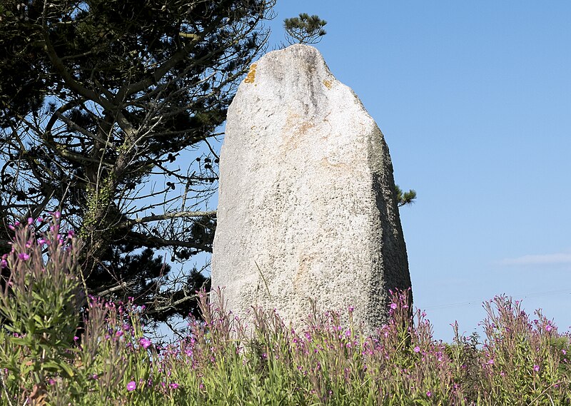 Menhir Sud de Pontusval de Plounéour-Trez