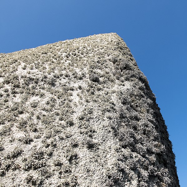 Menhir Sud de Pontusval de Plounéour-Trez