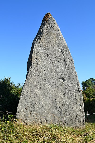 Menhir Sud de Pontusval de Plounéour-Trez