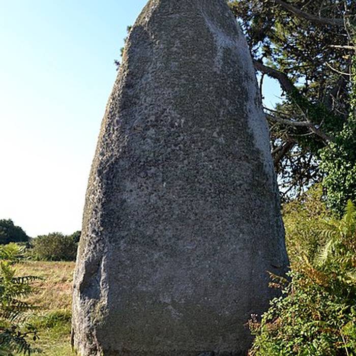 Photo de Menhir Sud de Pontusval de Plounéour-Trez