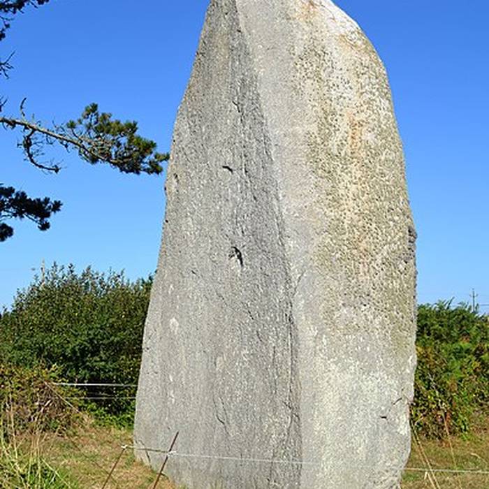 Photo de Menhir Sud de Pontusval de Plounéour-Trez