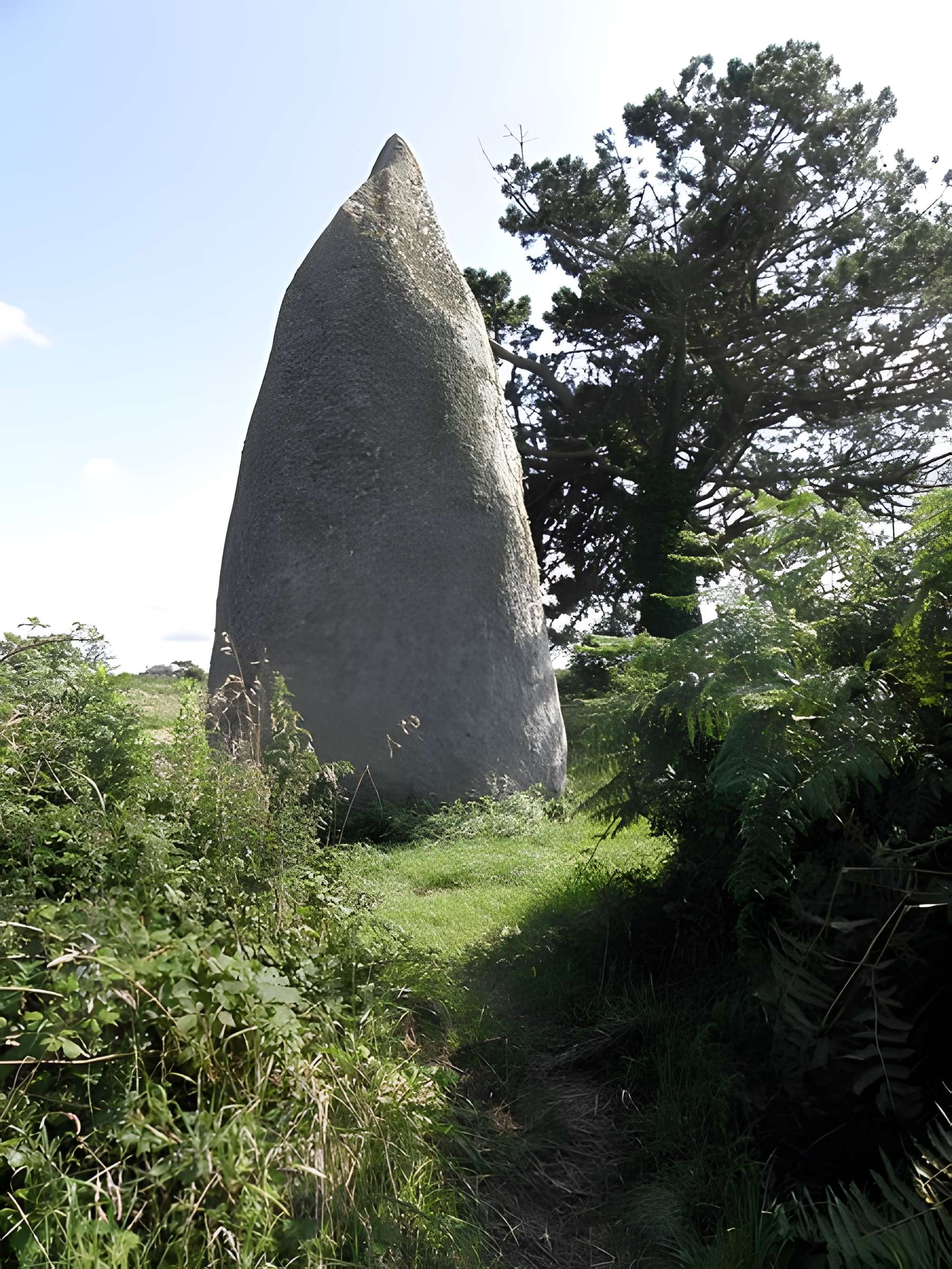 Menhir Sud de Pontusval de Plounéour-Trez 