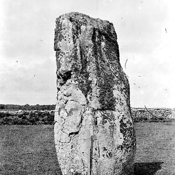 Photo de Menhirs de Kerderff à Carnac