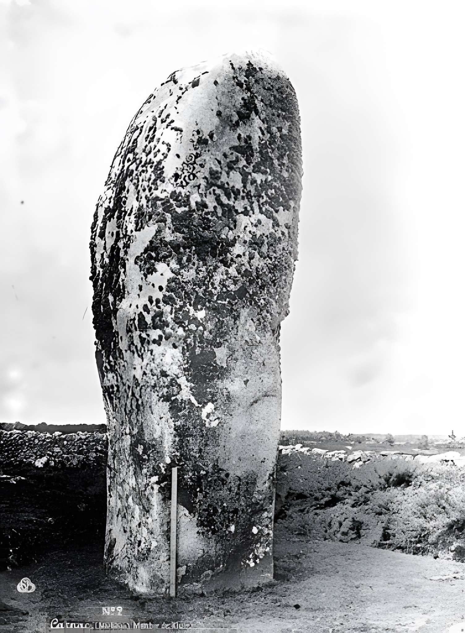 Menhirs de Kerderff à Carnac