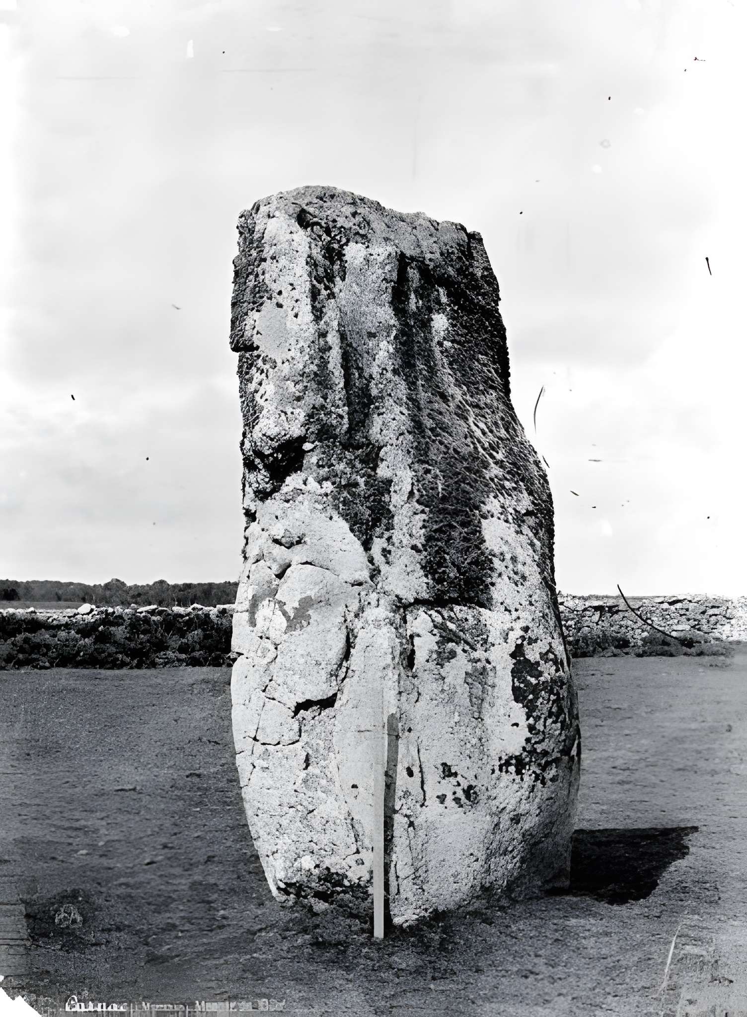 Menhirs de Kerderff à Carnac